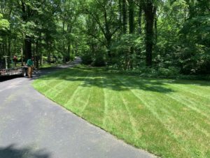 beautifully mowed lawn