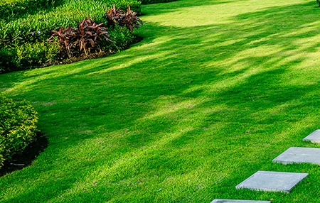 Professional Lawn Care Indianapolis