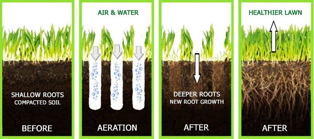 Aeration: Cold Hard Facts!