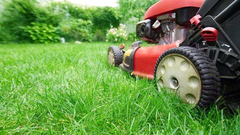 Professional Lawn Mowing | Broad Ripple
