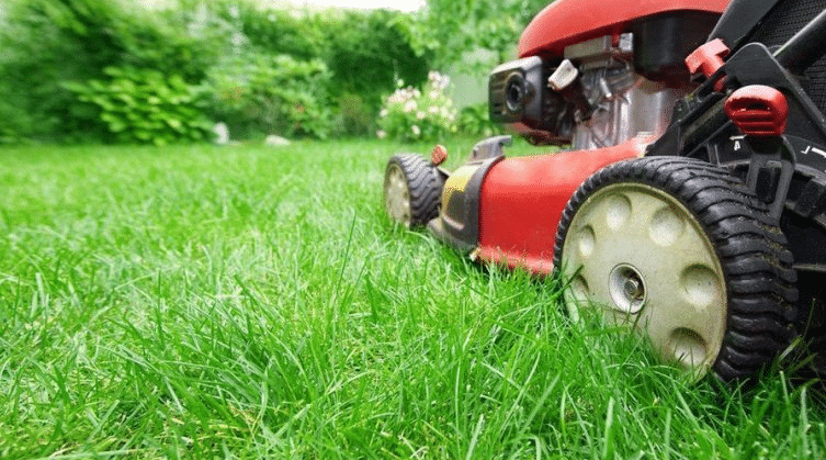 Lawn Mowing is Affordable | Broad Ripple