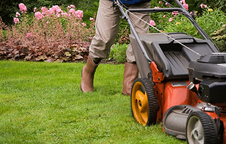 Professional Lawn Mowing Services Indianapolis