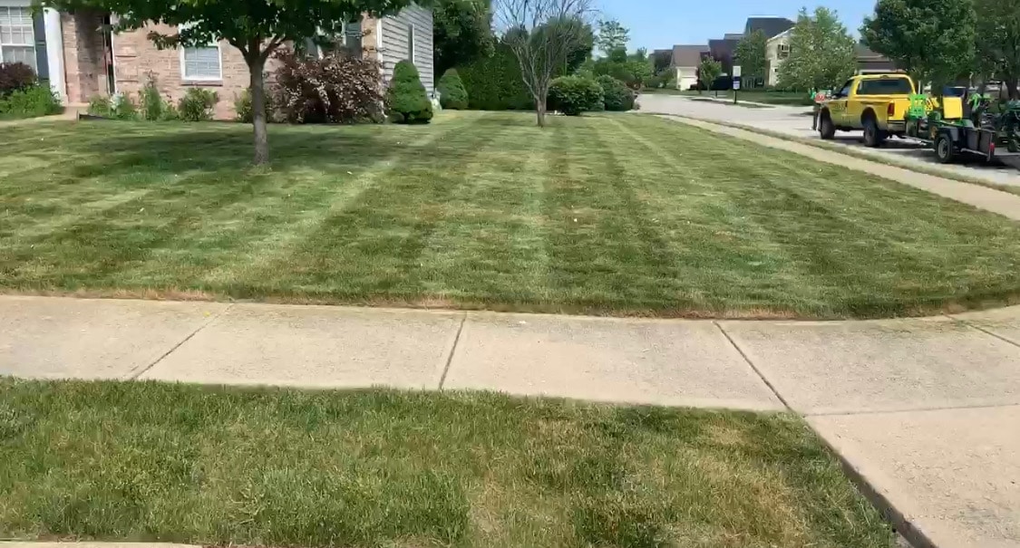 Lawn care, 4 secrets to having the BEST lawn on the block