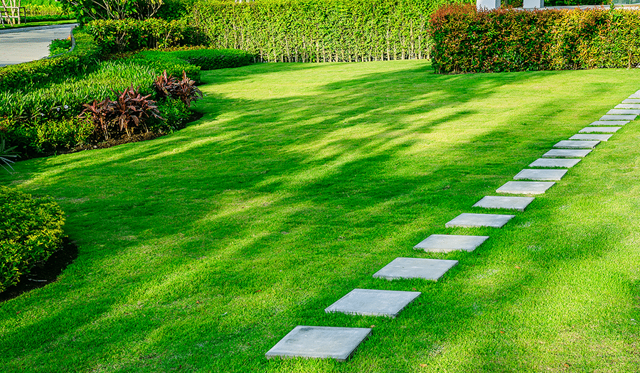 “Lawncare Near Me.” What To Look For In Lawncare.