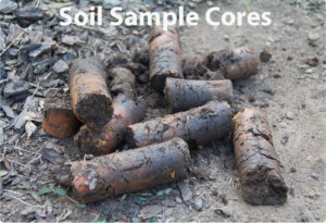 Soil Sample Cores