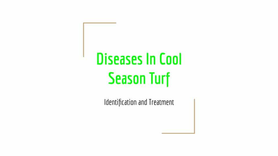 Fungus Among Us! Cool Season Lawn Diseases.