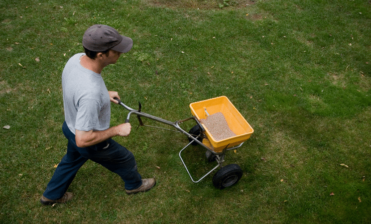 Frequently Asked Questions About Lawncare.