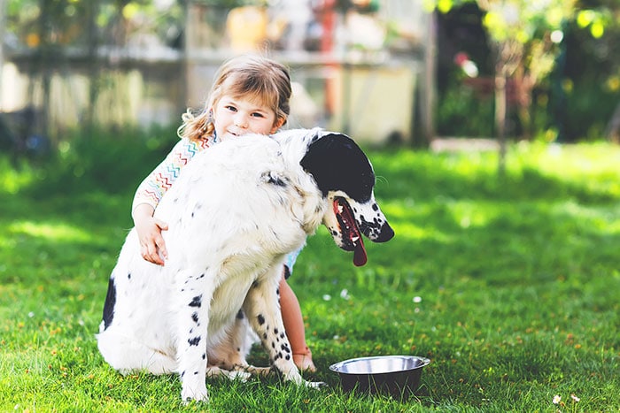 Pet Lovers Lawn Care Indianapolis