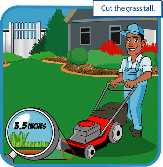 residential lawn care near Indy