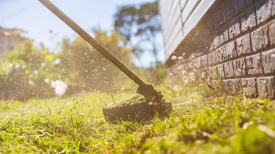 Prepping your Lawn for Spring After a Long Winter