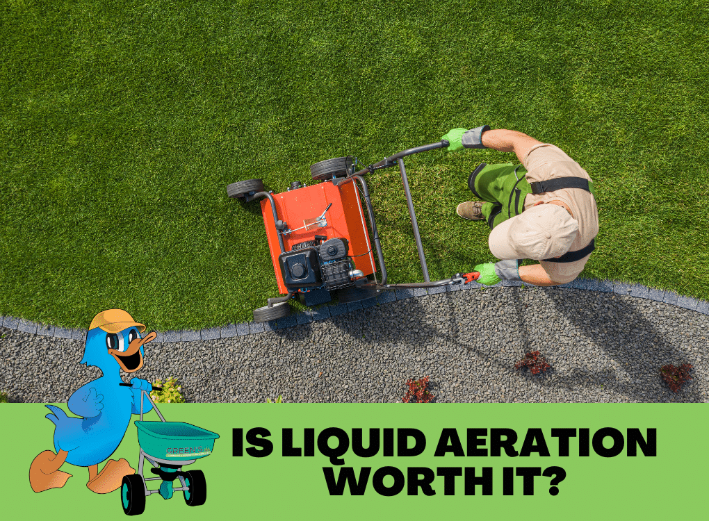 Is Liquid Aeration Worth It?
