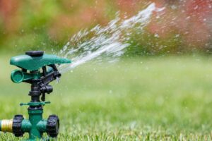Sprinkler for lawn watering