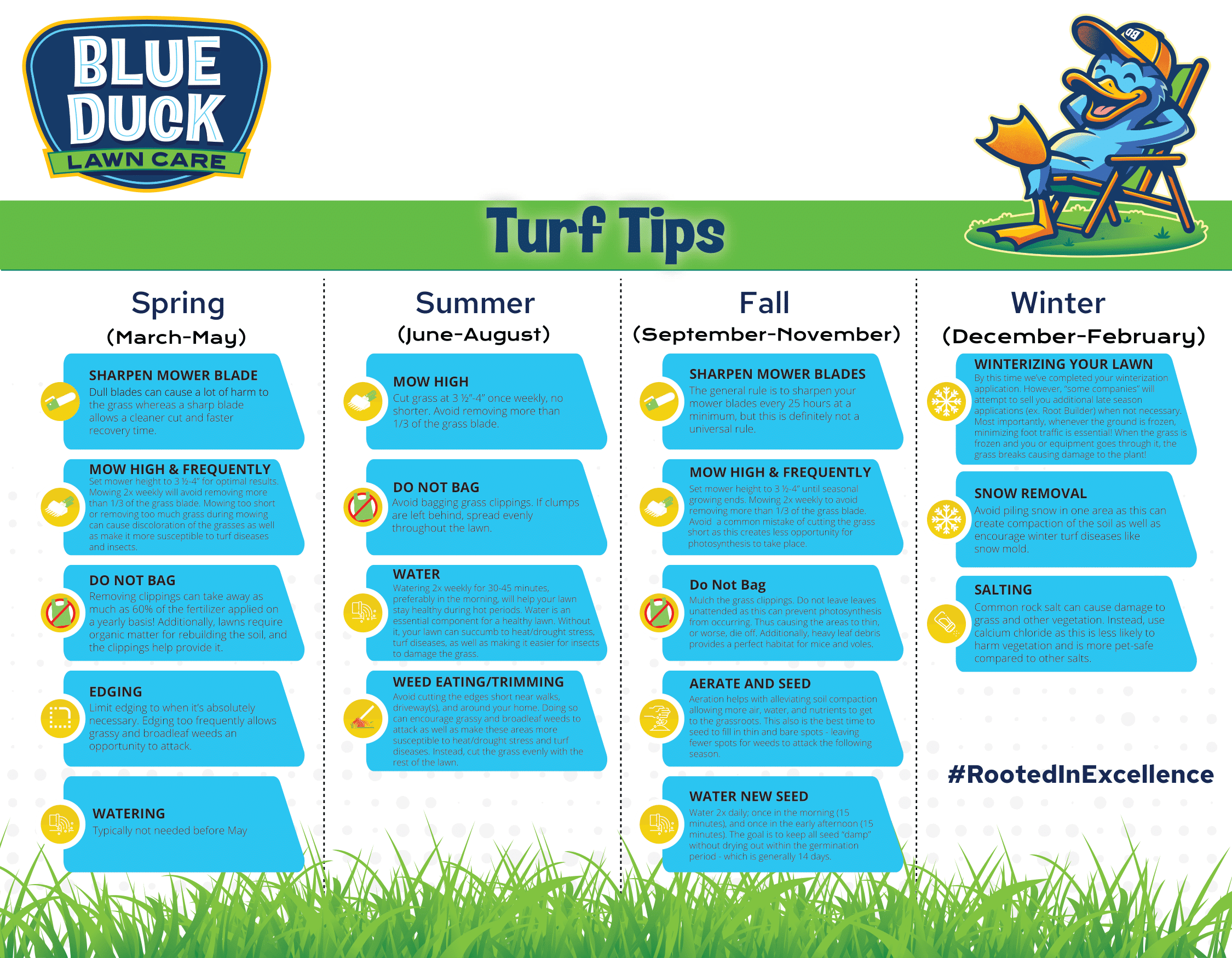 Turf Tips Guide